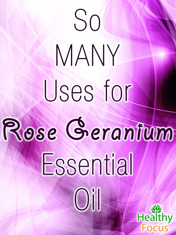 10 Uses for Rose Geranium Essential Oil Healthy Focus