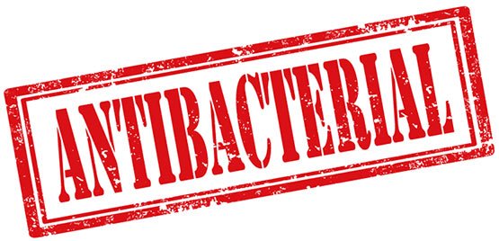 ravensara antibacterial properties
