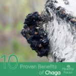 10 Proven Health Benefits of Chaga