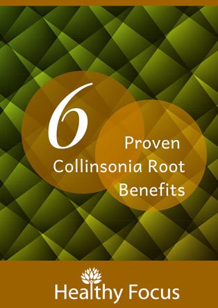 6 Proven Collinsonia Root Benefits