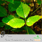 9 Proven Home Remedies for Poison Ivy