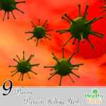 9 Proven Parasite Killing Herbs