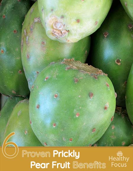 6-proven-prickly-pear-fruit-benefits-healthy-focus