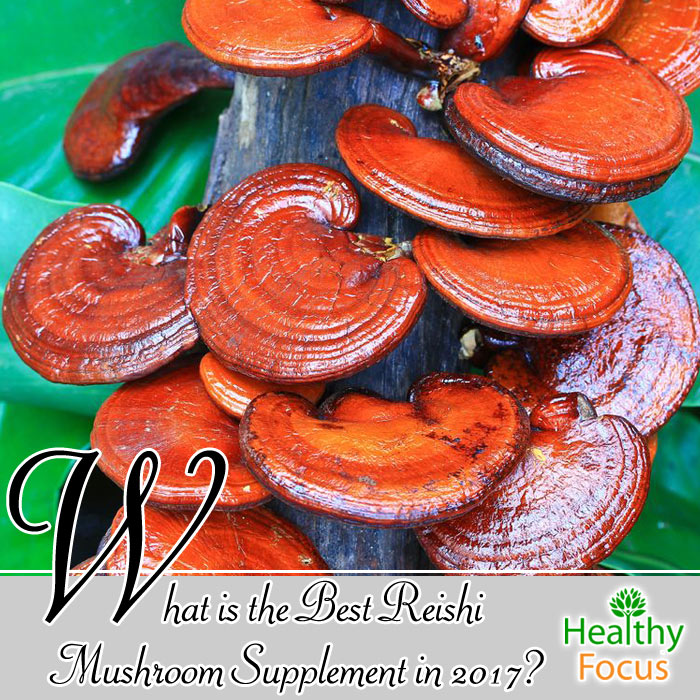 What is the Best Reishi Mushroom Supplement in 2017? Healthy Focus