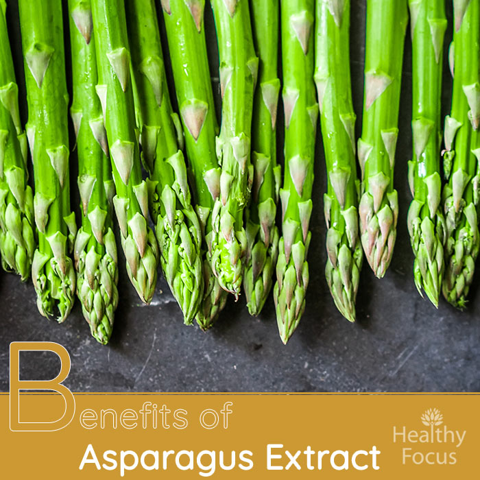 Benefits of Asparagus Extract - Healthy Focus