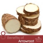 8 Benefits of Arrowroot
