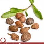 9 Amazing Shea Nut Oil Benefits
