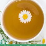 9 Amazing Benefits of Jasmine Tea