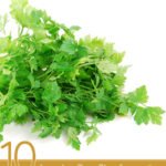 10 Amazing Benefits of Coriander Seed Essential Oil