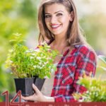14 Proven Benefits of Niaouli Essential Oil