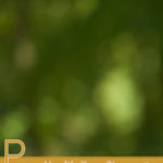 Proven Health Benefits of Salacia