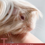 The Best Essential Oils for Hair Removal