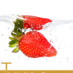 The Health Benefits of Fisetin