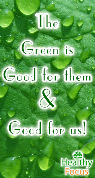 mig-the-green-is-good-for-them-good-for-us