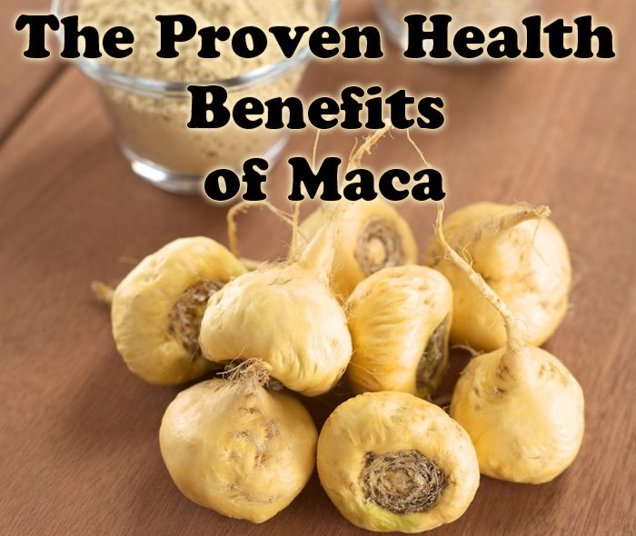 The Proven Health Benefits Of Maca Healthy Focus