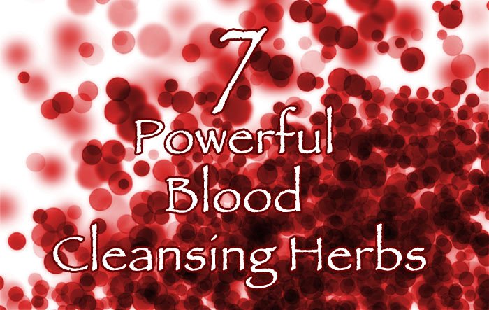 hdr 7 Powerful Blood Cleansing Herbs