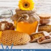 What is Propolis