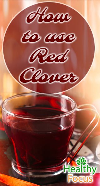 8 Red Clover Tea Benefits - Healthy Focus