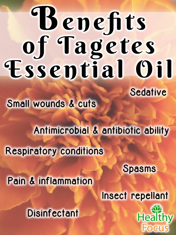 mig-8-Benefits--of-Tagetes--Essential-Oil