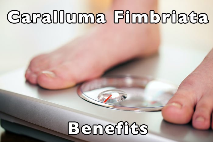 Caralluma Fimbriata Benefits