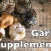 Garlic Extract Benefits