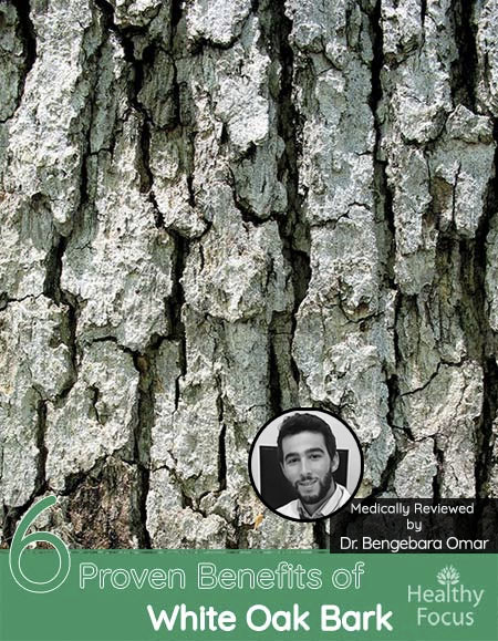 6 Proven Benefits of White Oak Bark