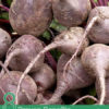 8 Proven Benefits of Beets