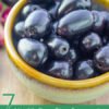 7 Health Benefits of Jambul