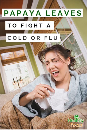 Papaya Leaves to fight a Cold or Flu