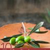 Benefits of Ozonated Olive Oil