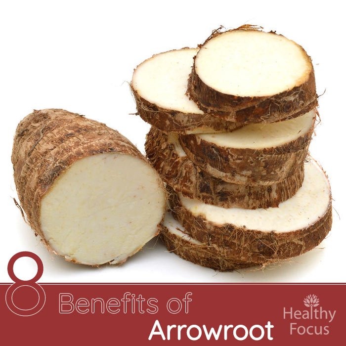 A Comprehensive Guide to Arrowroot Benefits - Healthier Steps