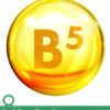 8 Benefits of Vitamin B5