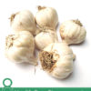 8 Health Benefits of Allicin