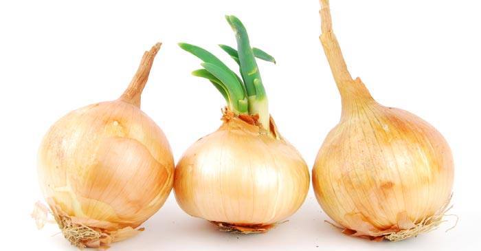 onions for boils