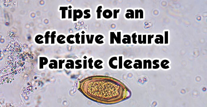 Tips for an effective Natural Parasite Cleanse 1 hdr Tips for an effective Natural Parasite Cleanse