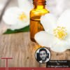 Top 12 uses for Jasmine Essential Oil