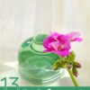 13 Uses for Rose Geranium Essential Oil