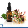 7 Benefits of Honeysuckle Essential Oil