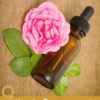 9 Uses for Rose Absolute Essential oil