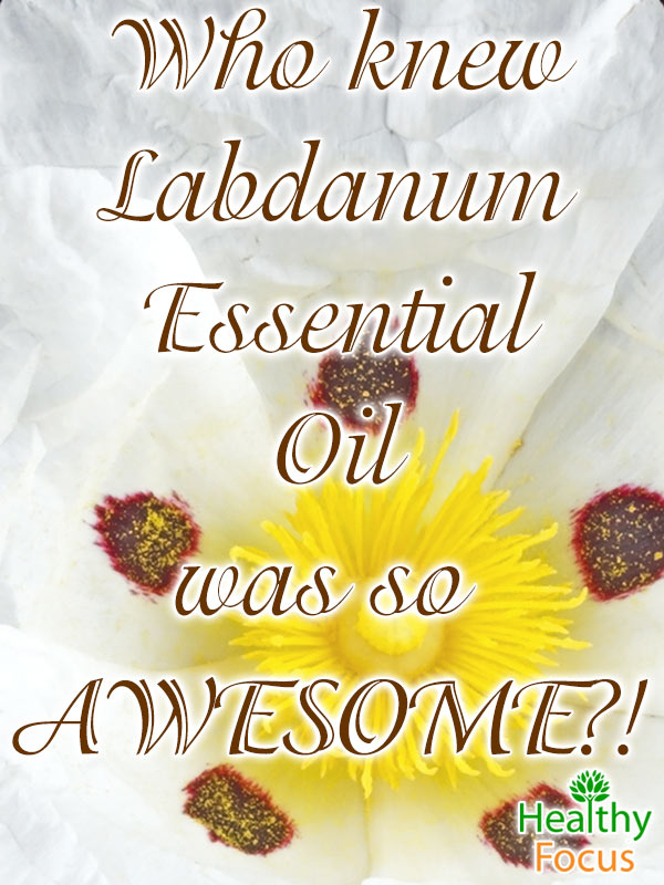 6 Uses for Labdanum Essential oil 2 mig-Who-knew-Labdanum-Essential-Oil-was-so-AWESOME