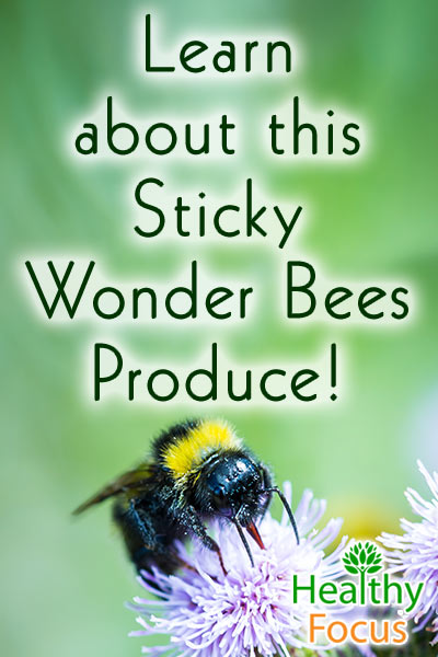What is Propolis? 14 Amazing Benefits 2 mig-learn-about-this-sticky-wonder-bees-produce