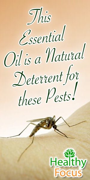 11 Amazing Uses for Blood Orange Essential Oil 2 mig2 This Essential Oil is a Natural Deterrent for these Pests