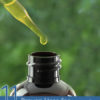 11 Proven Uses for Ravensara Essential oil
