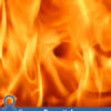 8 Proven Essential Oils For Burns