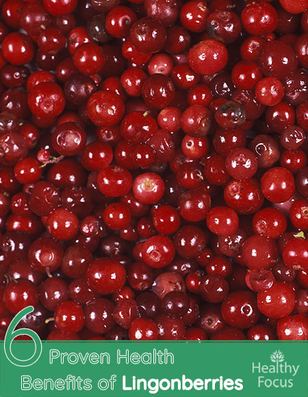 6 Proven Health Benefits of Lingonberries 1 6 Proven Health Benefits of Lingonberries