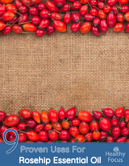 9 Proven Uses For Rosehip Essential Oil 1 9 Proven Uses For Rosehip Essential Oil