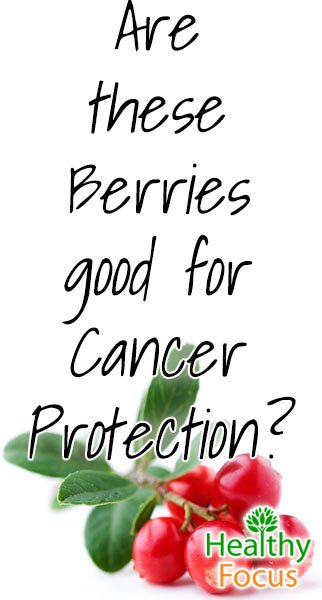 6 Proven Health Benefits of Lingonberries 3 mig2 Are these Berries good for Cancer Protection