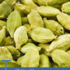 Top 10 Health Benefits of Cardamom