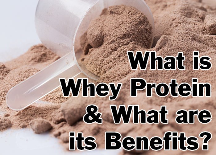 What is Whey Protein and What are its Benefits? 1 hdr-What-is-Whey-Protein-and-What-are-its-Benefits
