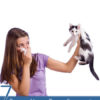 7 Proven Home Remedies for Pet Allergies